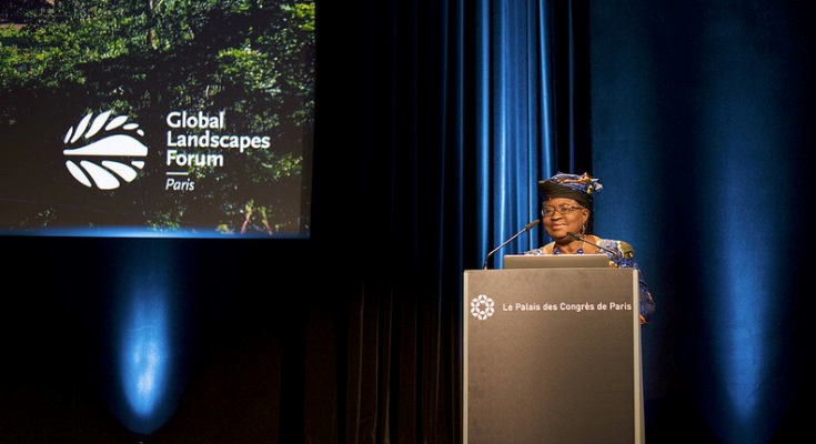 Okonjo Iweala on Climate Change